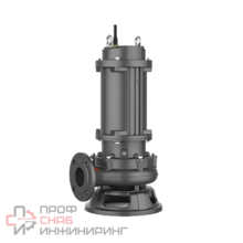 Канализационный насос Renseier 200WQ300-18-2 (4P)