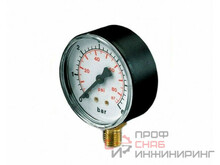 Манометр Pedrollo MR 10