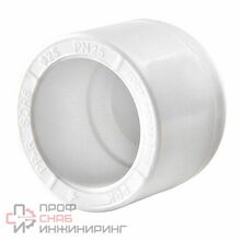 Заглушка Valfex PPR Ø-25