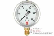 Манометр BD ДМ 2 100 Р (0-25) бар, кл.1,0, G1/2