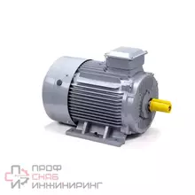 Эл.двигатель ESQ PR 180 S4 GST-Б1-S12-IE2 22/1500 IM 1001