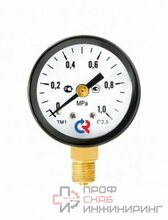Манометр Росма ТМ 310Р (0-10,0атм) G1/4