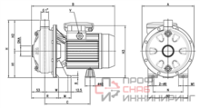 Насос Ebara CDX M/G 120/12
