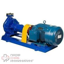 Центробежный насос для горячих масел ZY Technology WRY 65-40-250