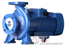 Насос Purity PSTG 65-160/150