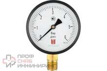 Манометр BD ДМ 1 Т2 100 Р (0-6) бар, кл.1,5, G1/2