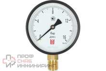 Манометр BD ДМ 1 Т2 100 Р (0-16) бар, кл.1,5, G1/2