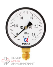 Манометр ЭКОМЕРА радиальный МД02 0-2,5МПа Дк100 М20х1,5