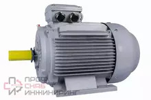 Электродвигатель ESQ PR 280 S6-SDN-Б1-S12-IE2 45/1000 IM B3