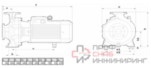 Моноблочный насос Wellmix NBW 50-32-200-4.0/2-380-S-BQQE