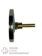 Термометр ЭКОМЕРА биметалл БТ-1-100 200С Дк100 L=60 осевой БТ-1-100-200С-L60