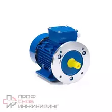 Электрический двигатель ESQ 90 LB2-SDN-ЕТ2 IM B35 3/3000