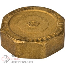 Заглушка STOUT ВР 2 SFT-0026-000002 RG008Q0QTJ4BMF