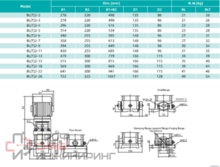 Насос Shimge BL2-7, 0,75 кВт