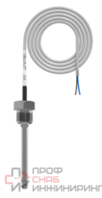 Погружной кабельный датчик температуры жидкости RGP 80 мм. G1/2
