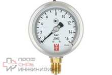 Манометр BD ДМ 2 100 Р (0-16) бар, кл.1,0, G1/2