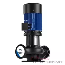 Насос Purity PTD150-17/4