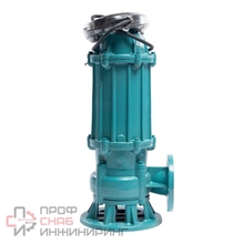 Насос ESQ ГНОМ-М 10-10-50/0.75-380