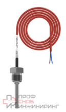 Погружной датчик температуры воды RGP 80 мм. G1/2