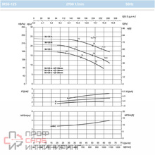 Насос Saer IR 50-125А IE1
