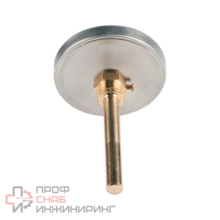 Термометр Wika A50.10 160С Дк100 L=40 G1/2"