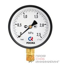 Манометр Росма тип ТМ серия 10 исполнение стандартное подключение снизу кл. 2,5 черный