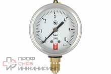Манометр BD ДМ 2 063 Р (0-6) бар кл.1,5 G1/4 DIN CASE
