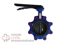 Затвор дисковый Ридан ЗДМ 13.16.65 с резьбовыми проушинами PN16 DN65