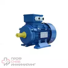 Электродвигатель АИР 100S2 4кВт*3000об/мин 1081 лапы (алюм)