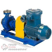 Взрывозащищенный центробежный насос для горячих масел ZY Technology WRY 20-20-125_Ex