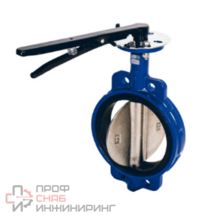 Затвор DENDOR тип 017W-Ч/Ч ДУ100 РУ16