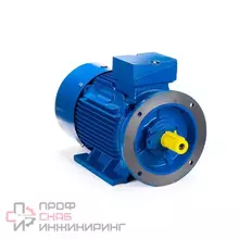 Электрический двигатель ESQ 200 L4-SDN- 30/1500 IM B35