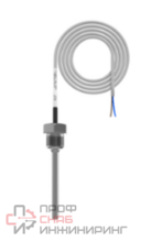 Датчик температуры RGP от -50 до +130 C, NTC10k (3435)  погружной кабельный, 80 мм., G1/2