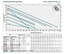 Насос Pedrollo PK 200