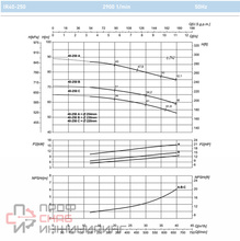 Насос Saer IR 40-250C IE1
