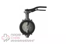 Затвор поворотный Giacomini R59W чугунный Ду125 Ру16