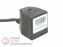 Электромагнитная катушка Riello 3003828