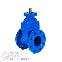 Задвижка чугунная с обрезиненным клином REON тип RSV02, PN16 DN100 с голым штоком и фланцем ISO 5210 (ISO 5211)