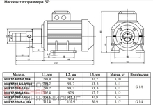 Шестеренный насос Ампика НШГ57-25/5-0,18/4