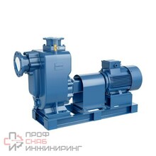 Насос PURITY PZWM50-20-15/2