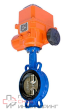 Затвор поворотный чугунный EPDM Ду250 Ру16 эл/п Tecofi VPI4448-B24EP0250