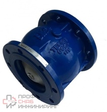 Клапан обратный чугунный пружинный Ду150 Ру16 фланцевый Tecofi