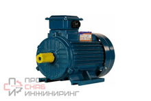 Электродвигатель 5АИ 100 L8, 1.5 кВт, 750 оборотов/мин, IM 1081