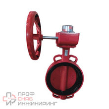 Затвор поворот чуг EPDM Ду250 Ру10/16 ред д/чуг EURO FBV-RA Benarmo