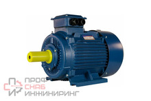 Электродвигатель 5АИ 200 L2, 45 кВт, 3000 оборотов/мин, IM 1001