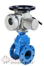 Задвижка чугунная с обрезиненным клином REON тип RSV60 DN100 PN16 с электроприводом 380В