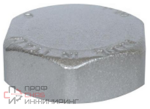 Заглушка с внутренней резьбой Rinaldi & Pettinaroli 2"