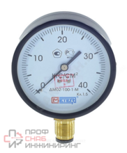 Манометр радиальный ДМ02-100 0-1,6МП� (0-16бар) �к100 G1/2" ст Метер