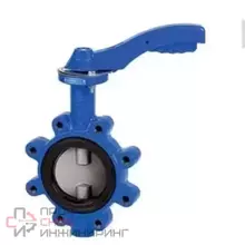 Затвор дисковый DelVal поворотный межфланцевый Чугун/нерж CF8/EPDM , голый шток, 8" DN200 PN16, цвет - синий