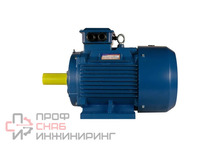 Электродвигатель 5АИ 200 L6, 30 кВт, 1000 оборотов/мин, IM 1001